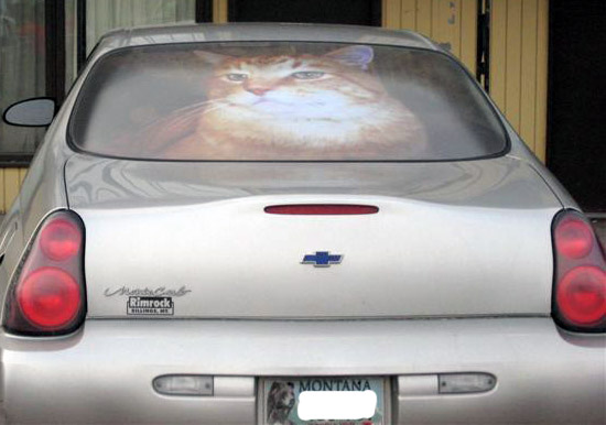 catmobile