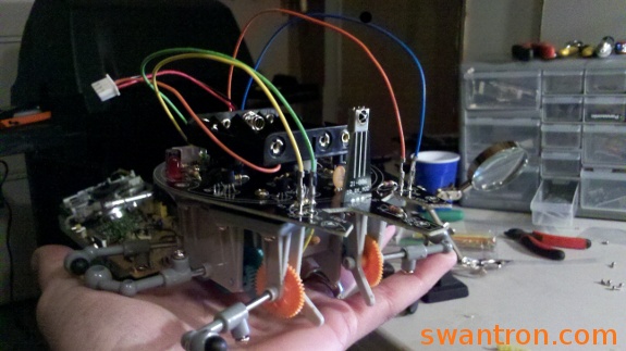 xtreme lead ingestion to the maxx