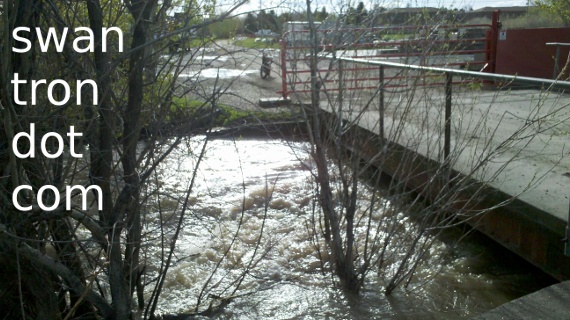 bozeman creek