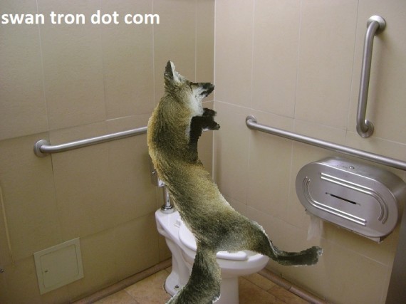 my firefox is crapping